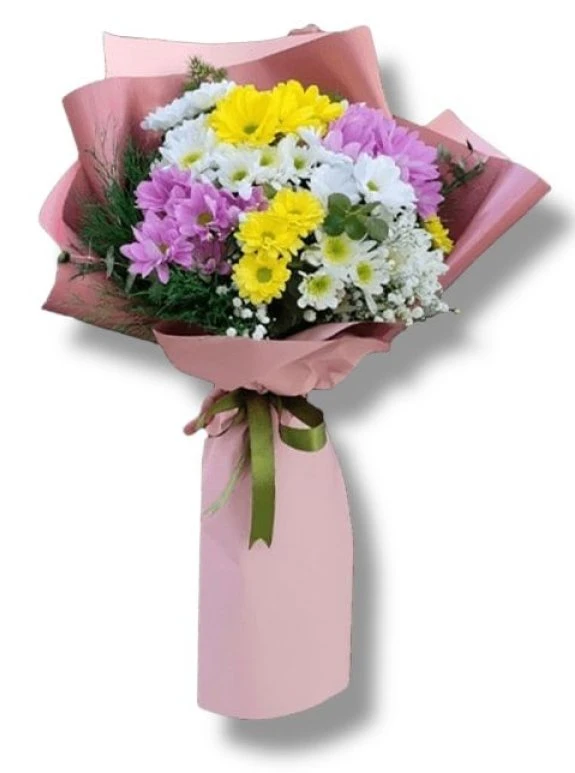 Karışık Renkli Papatya Buketi